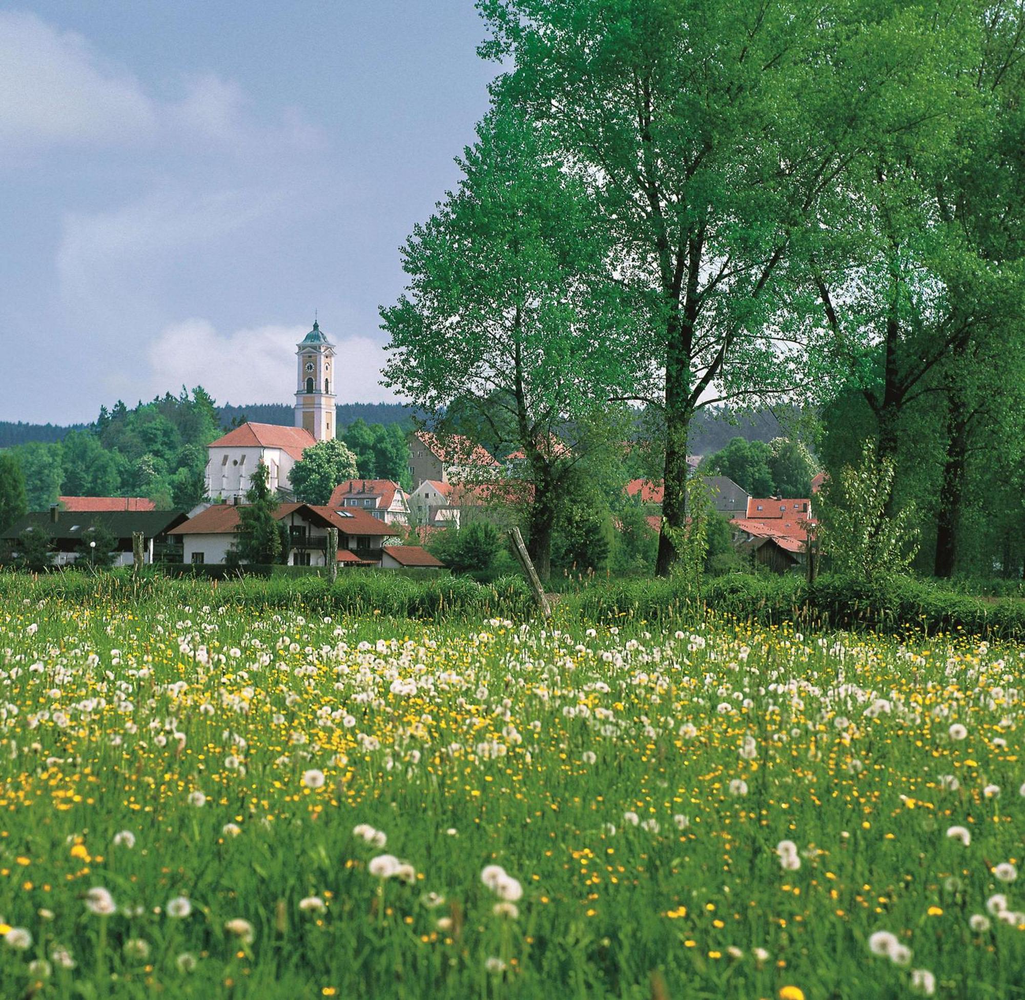 Best Western Aparthotel Birnbachhoehe Bad Birnbach Exterior foto